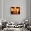 El Convento Hotel, Lobby, San Juan, Puerto Rico-Greg Johnston-Photographic Print displayed on a wall