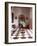 El Convento Hotel, Lobby, San Juan, Puerto Rico-Greg Johnston-Framed Photographic Print