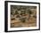 El Geneina, Darfur, Western Sudan, Sudan, Africa-Liba Taylor-Framed Photographic Print