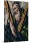 El Greco (Doménikos Theotokópoulos)/ Saint Andrew. Location: PRIVATE COLLECTION, MADRID, SPAIN-Doménikos Theotokópoulo "El Greco"-Mounted Poster