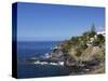 El Jupado, Playa De Las Americas, Tenerife, Canary Islands, Spain, Atlantic, Europe-Jeremy Lightfoot-Stretched Canvas