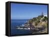 El Jupado, Playa De Las Americas, Tenerife, Canary Islands, Spain, Atlantic, Europe-Jeremy Lightfoot-Framed Stretched Canvas