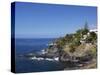 El Jupado, Playa De Las Americas, Tenerife, Canary Islands, Spain, Atlantic, Europe-Jeremy Lightfoot-Stretched Canvas