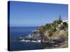 El Jupado, Playa De Las Americas, Tenerife, Canary Islands, Spain, Atlantic, Europe-Jeremy Lightfoot-Stretched Canvas