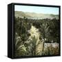 El-Kantara (Algeria), View of the Oasis-Leon, Levy et Fils-Framed Stretched Canvas