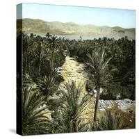 El-Kantara (Algeria), View of the Oasis-Leon, Levy et Fils-Stretched Canvas