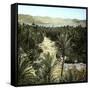 El-Kantara (Algeria), View of the Oasis-Leon, Levy et Fils-Framed Stretched Canvas