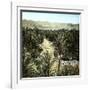 El-Kantara (Algeria), View of the Oasis-Leon, Levy et Fils-Framed Photographic Print