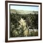 El-Kantara (Algeria), View of the Oasis-Leon, Levy et Fils-Framed Photographic Print