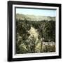 El-Kantara (Algeria), View of the Oasis-Leon, Levy et Fils-Framed Premium Photographic Print