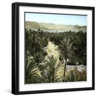 El-Kantara (Algeria), View of the Oasis-Leon, Levy et Fils-Framed Photographic Print