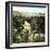 El-Kantara (Algeria), View of the Oasis-Leon, Levy et Fils-Framed Photographic Print