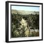 El-Kantara (Algeria), View of the Oasis-Leon, Levy et Fils-Framed Photographic Print