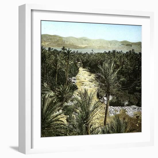 El-Kantara (Algeria), View of the Oasis-Leon, Levy et Fils-Framed Photographic Print