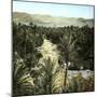 El-Kantara (Algeria), View of the Oasis-Leon, Levy et Fils-Mounted Photographic Print