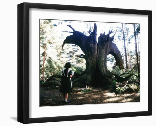 El laberinto del fauno-null-Framed Photo