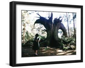 El laberinto del fauno-null-Framed Photo