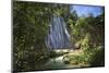 El Limon Waterfall, Eastern Peninsula De Samana, Dominican Republic, West Indies, Caribbean-Jane Sweeney-Mounted Photographic Print