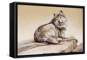 El Lobo-Rusty Frentner-Framed Stretched Canvas