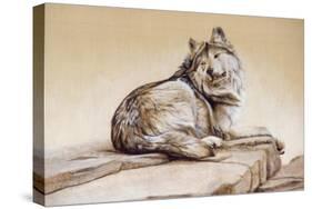 El Lobo-Rusty Frentner-Stretched Canvas