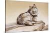 El Lobo-Rusty Frentner-Stretched Canvas