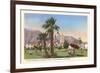 El Mirador, Palm Springs, California-null-Framed Art Print