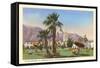 El Mirador, Palm Springs, California-null-Framed Stretched Canvas