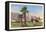 El Mirador, Palm Springs, California-null-Framed Stretched Canvas