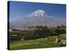 El Misti Volcano and Arequipa Town, Peru-Michele Falzone-Stretched Canvas