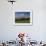 El Misti Volcano and Arequipa Town, Peru-Michele Falzone-Framed Photographic Print displayed on a wall