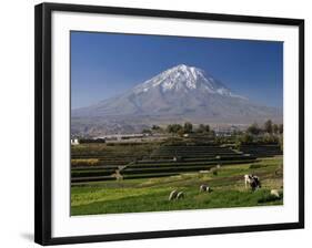 El Misti Volcano and Arequipa Town, Peru-Michele Falzone-Framed Photographic Print