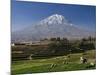 El Misti Volcano and Arequipa Town, Peru-Michele Falzone-Mounted Photographic Print