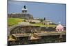 El Morros Defense, Old San Juan, Puerto Rico-George Oze-Mounted Photographic Print