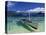 El Nido, Palawan Island, Philippines-Peter Adams-Stretched Canvas