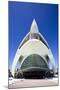 El Palau De Les Arts Reina Sofia, City of Arts and Sciences (Ciudad De Las Artes Y Las Ciencias)-Lee Frost-Mounted Photographic Print