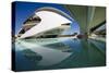 El Palau De Les Arts Reina Sofia, City of Arts and Sciences (Ciudad De Las Artes Y Las Ciencias)-Lee Frost-Stretched Canvas