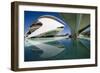 El Palau De Les Arts Reina Sofia, City of Arts and Sciences (Ciudad De Las Artes Y Las Ciencias)-Lee Frost-Framed Photographic Print