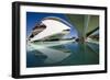 El Palau De Les Arts Reina Sofia, City of Arts and Sciences (Ciudad De Las Artes Y Las Ciencias)-Lee Frost-Framed Photographic Print