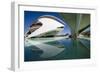 El Palau De Les Arts Reina Sofia, City of Arts and Sciences (Ciudad De Las Artes Y Las Ciencias)-Lee Frost-Framed Photographic Print