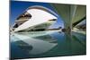 El Palau De Les Arts Reina Sofia, City of Arts and Sciences (Ciudad De Las Artes Y Las Ciencias)-Lee Frost-Mounted Photographic Print