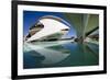 El Palau De Les Arts Reina Sofia, City of Arts and Sciences (Ciudad De Las Artes Y Las Ciencias)-Lee Frost-Framed Photographic Print