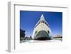 El Palau De Les Arts Reina Sofia, City of Arts and Sciences (Ciudad De Las Artes Y Las Ciencias)-Lee Frost-Framed Photographic Print