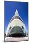 El Palau De Les Arts Reina Sofia, City of Arts and Sciences (Ciudad De Las Artes Y Las Ciencias)-Lee Frost-Mounted Photographic Print