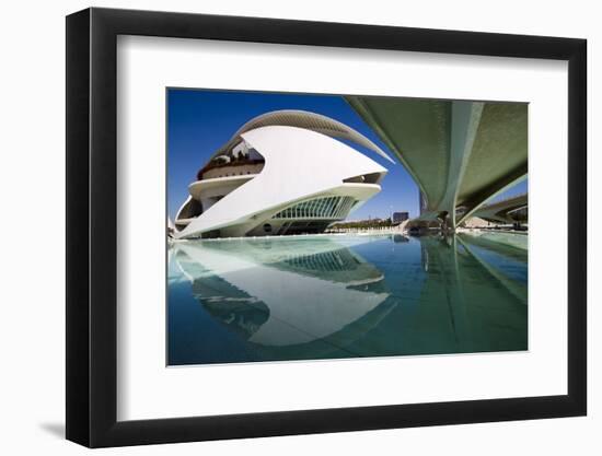 El Palau De Les Arts Reina Sofia, City of Arts and Sciences (Ciudad De Las Artes Y Las Ciencias)-Lee Frost-Framed Photographic Print