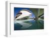 El Palau De Les Arts Reina Sofia, City of Arts and Sciences (Ciudad De Las Artes Y Las Ciencias)-Lee Frost-Framed Photographic Print