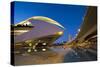 El Palau De Les Arts Reina Sofia (Opera House and Performing Arts Centre) at Night-Lee Frost-Stretched Canvas