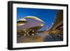 El Palau De Les Arts Reina Sofia (Opera House and Performing Arts Centre) at Night-Lee Frost-Framed Photographic Print