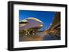 El Palau De Les Arts Reina Sofia (Opera House and Performing Arts Centre) at Night-Lee Frost-Framed Photographic Print