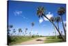 El Palmar Parque National, Where the Last Palm Yatay Can Be Found, Argentina-Peter Groenendijk-Stretched Canvas