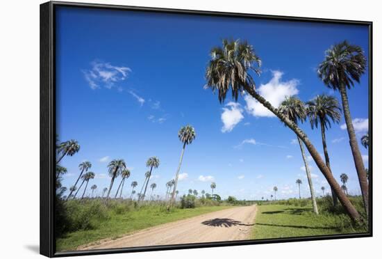 El Palmar Parque National, Where the Last Palm Yatay Can Be Found, Argentina-Peter Groenendijk-Framed Photographic Print